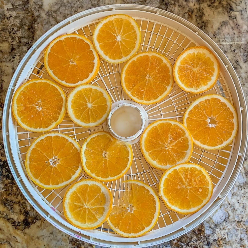 sliced oranges on dehydrator trays