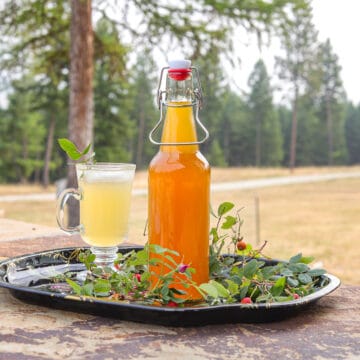 rosehips syrup in a bottle with a drink next to it on a try in the outdoors