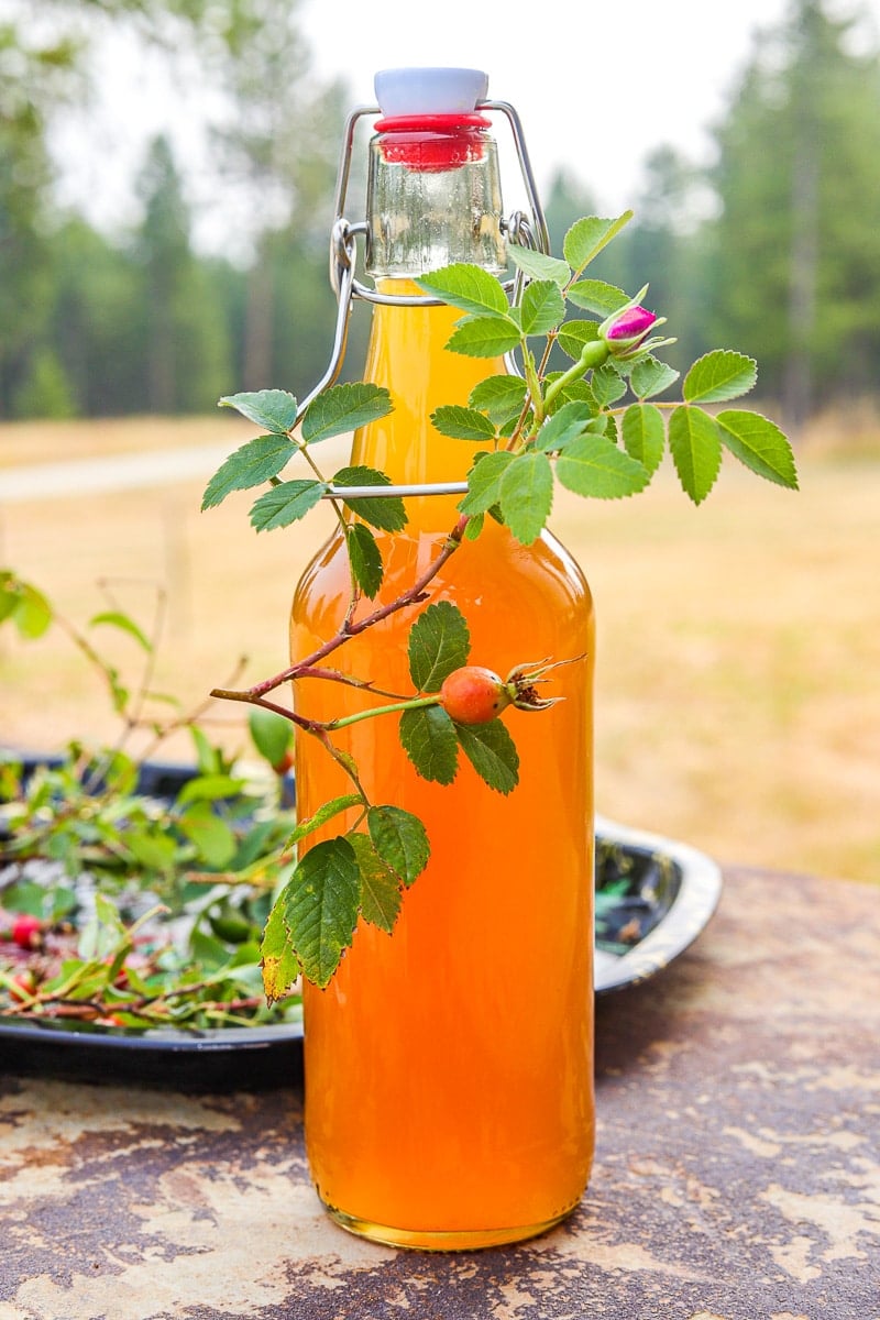 roseship syrup with rose branches around it