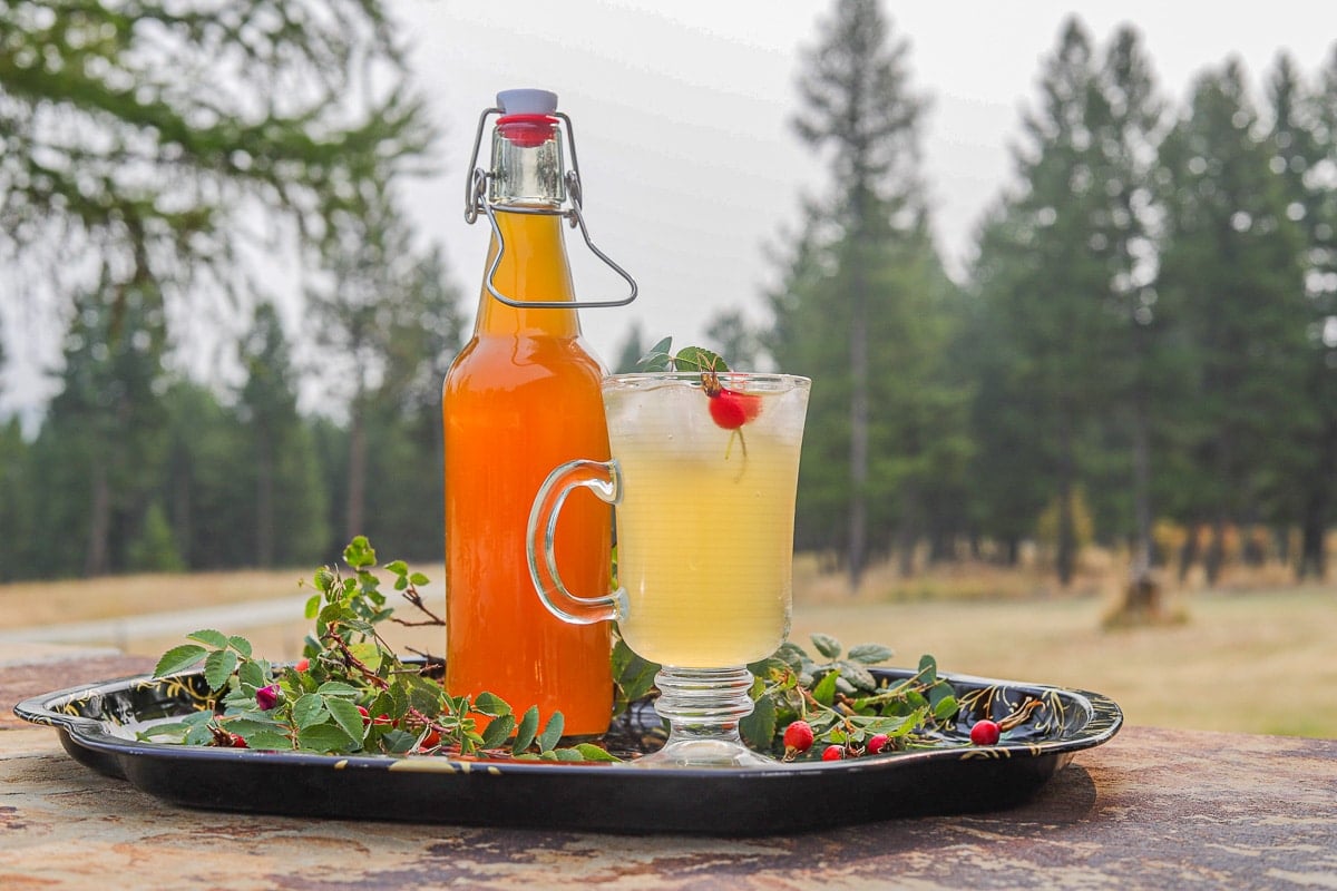 rosehip syrup and drink on a tray in the wilderness