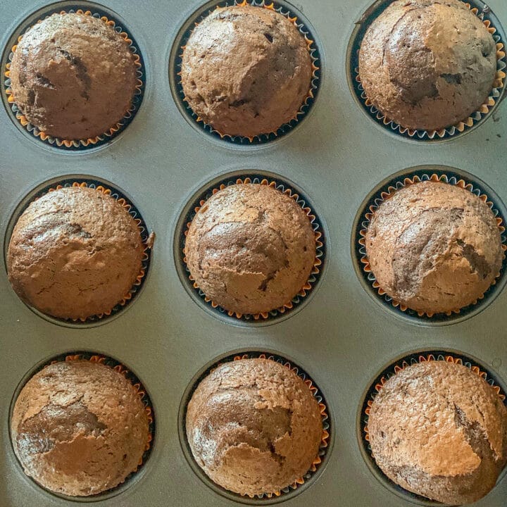 chocolate cupcakes in metal muffin pan