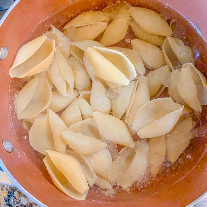 large pasta shells in a pot