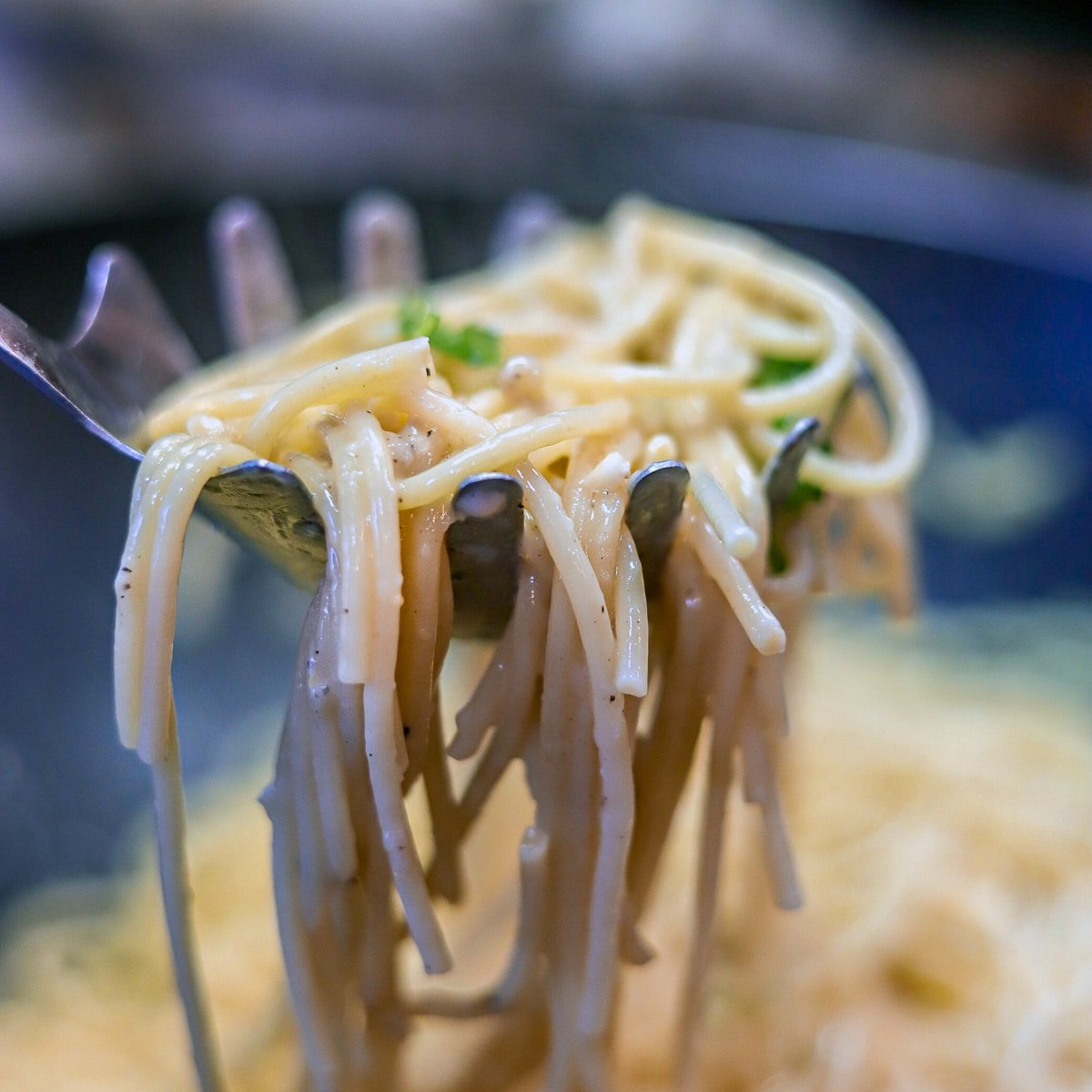 Bucatini cacio e pepe being scooped out of the pan