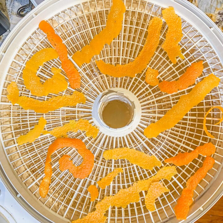 citrus peels being dried on a dehydrator