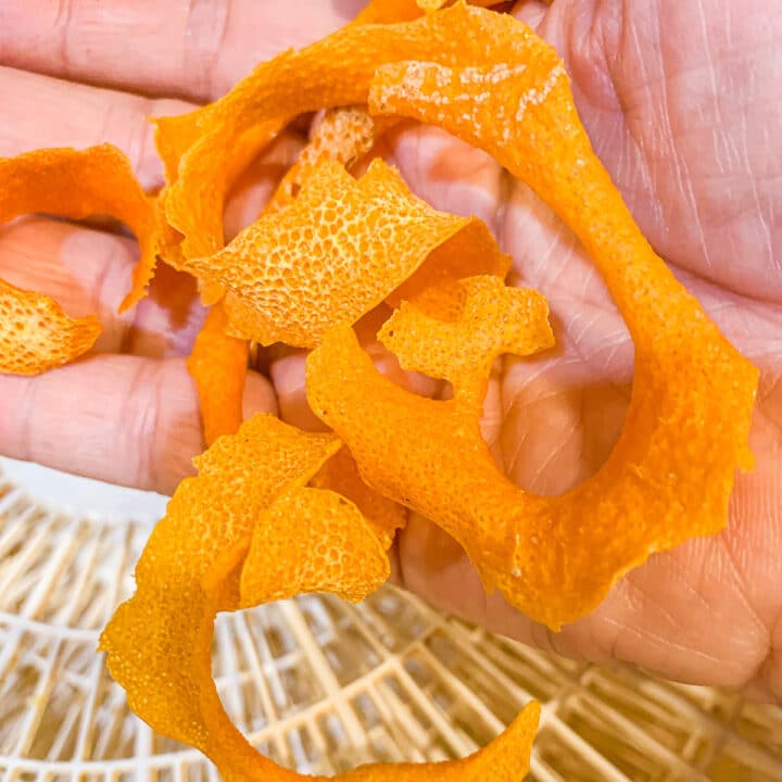 holding dried citrus peels over a dehydrator