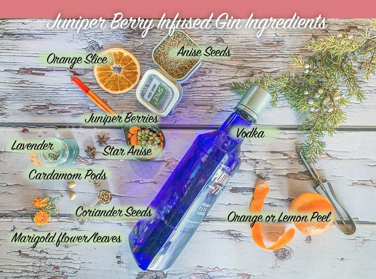 3Step Juniper Berry Infused Gin Hilda's Kitchen Blog
