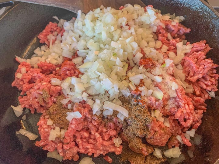 ground beef topped with minced onion and spices