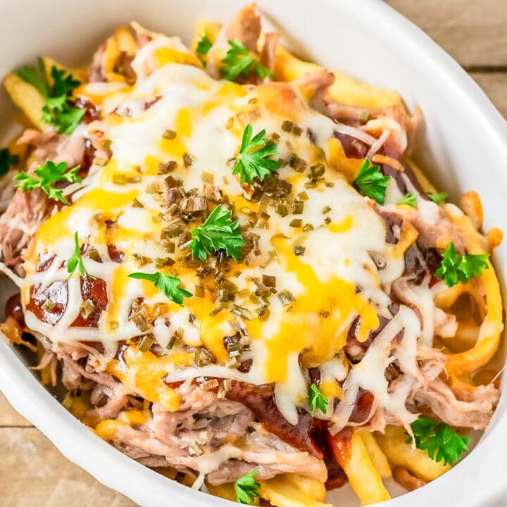 pulled pork fries