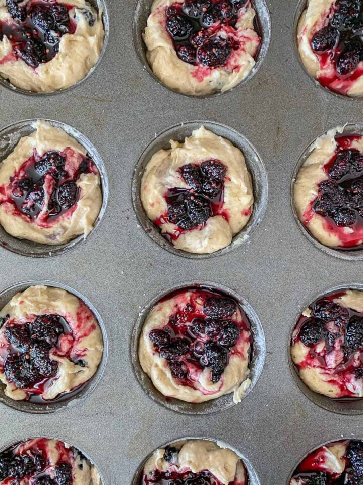 mulberry muffins in a pan