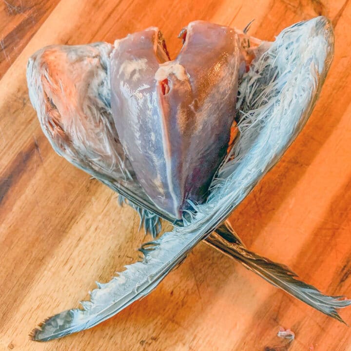 raw dove breast with wings attached