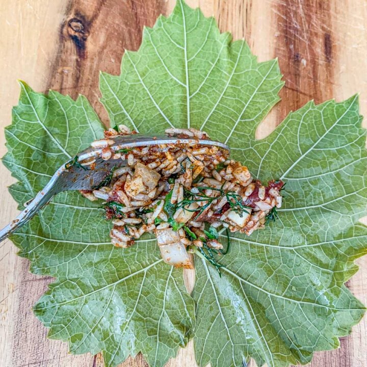grape leaf with dolma filling