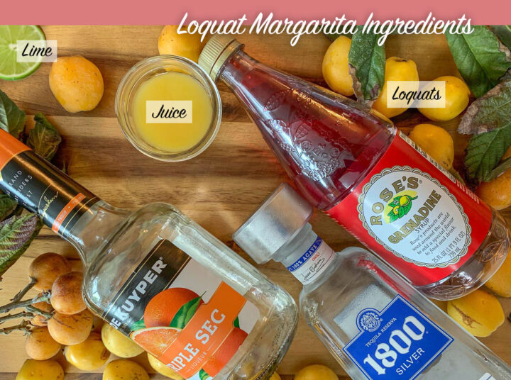 loquat margarita ingredients, labeled 