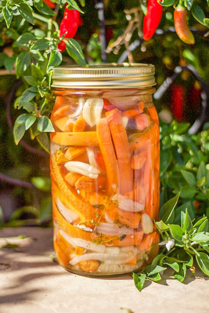 pickled Mexican carrots