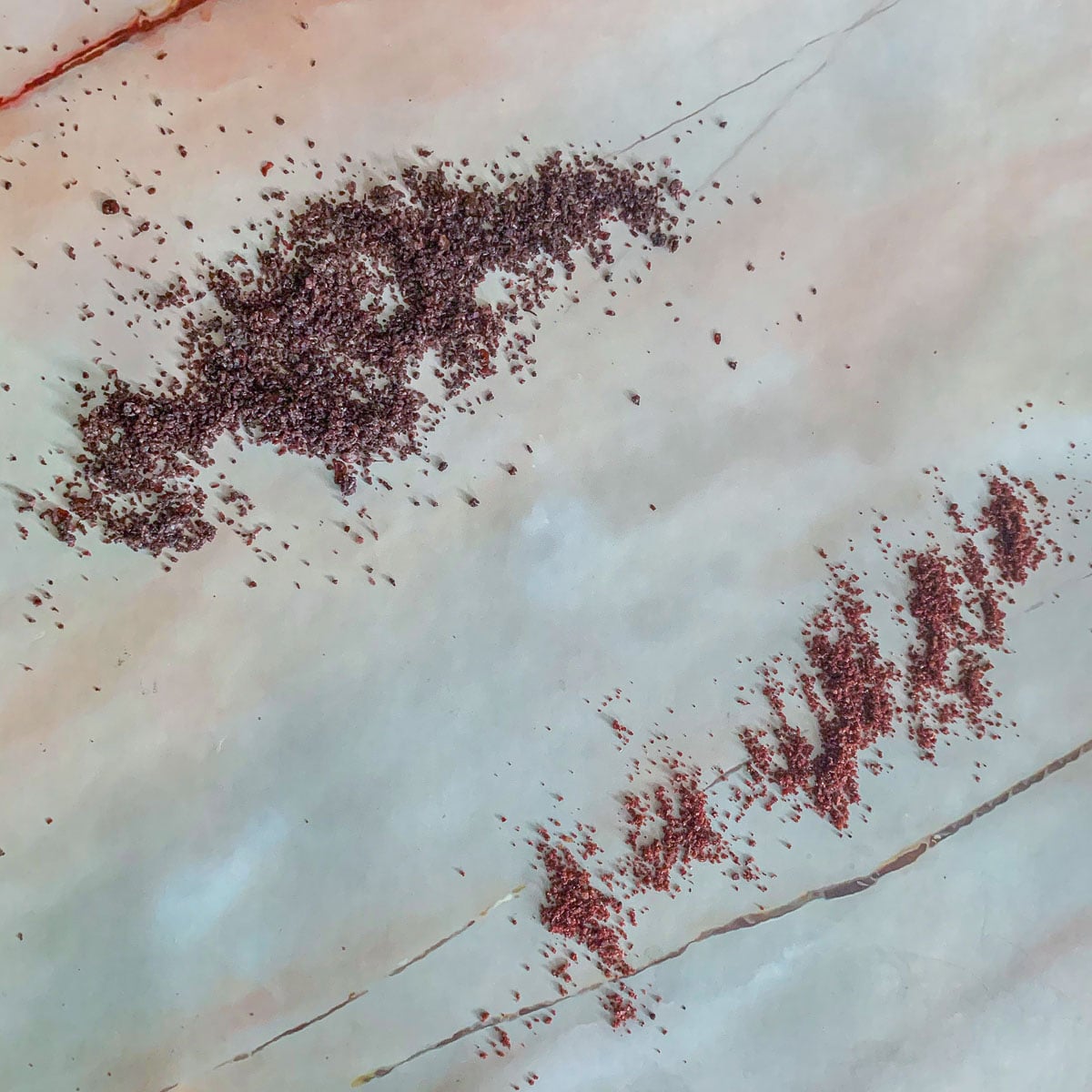 The Best Sumac Substitute Option Hilda's Kitchen Blog