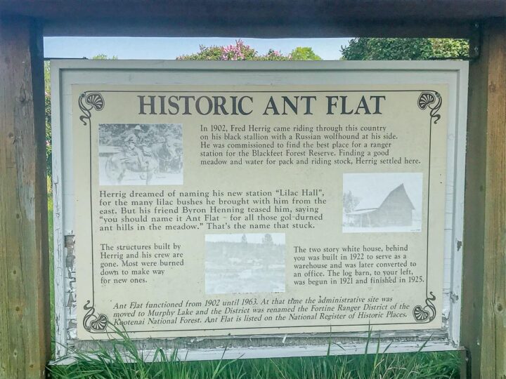 ant flat sign