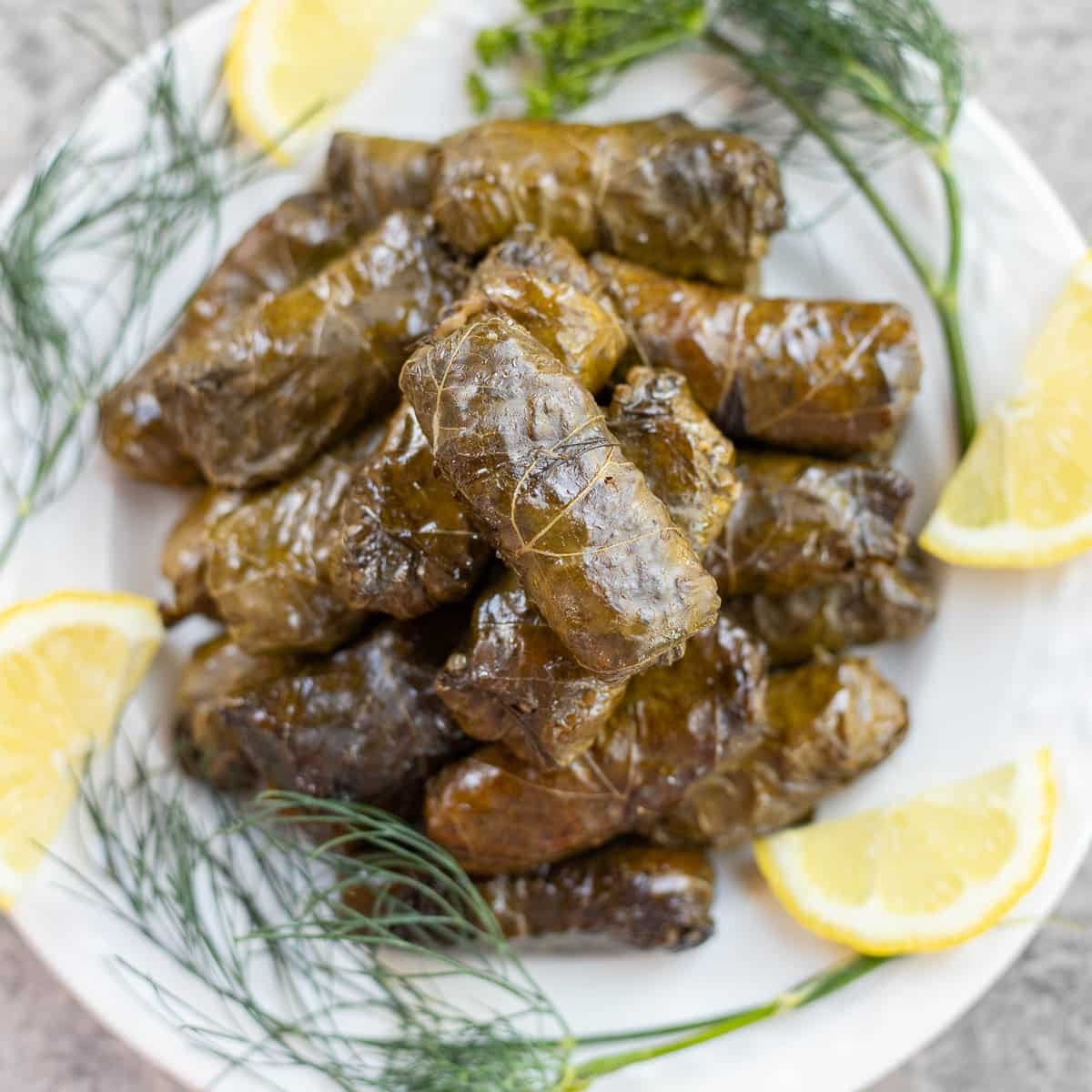 dolmathes on a white plate with lemon slices and dill