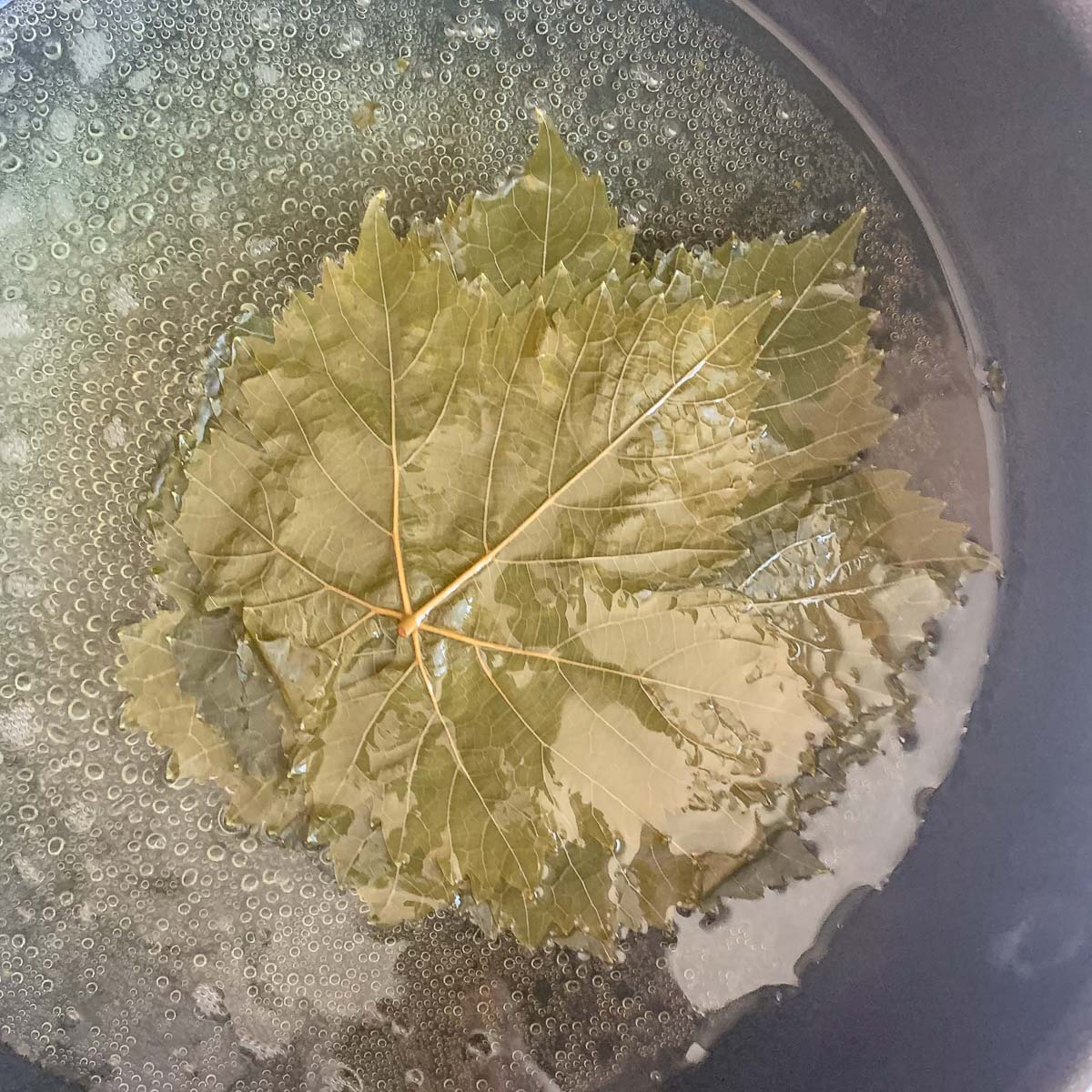 grape leaves being blanched