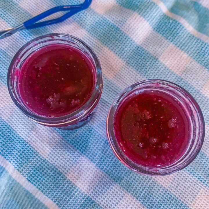 2 jars of chokecherry jelly