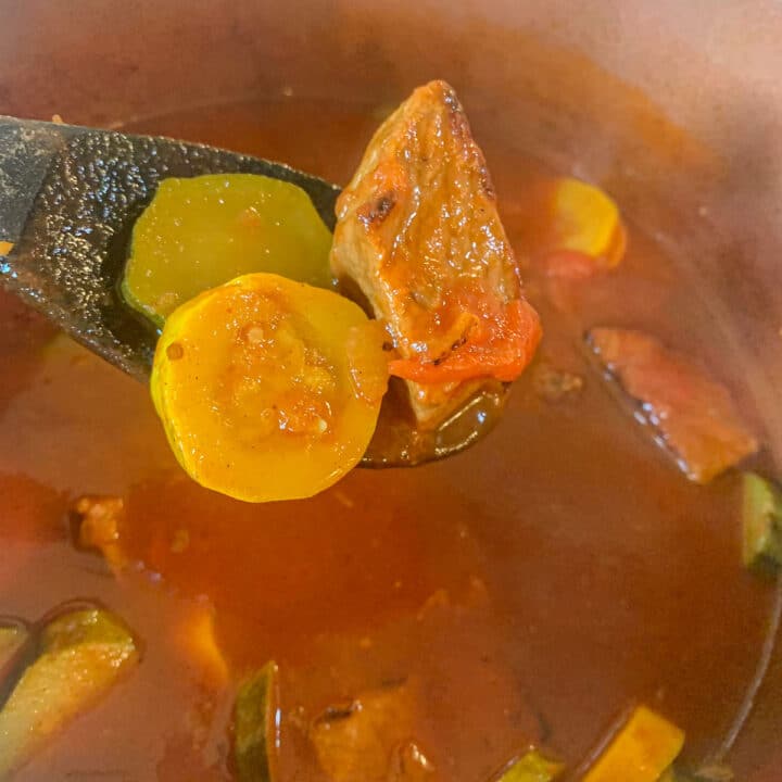 zucchini stew up close