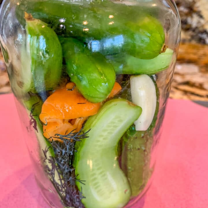 pickling cucumbers in a jar