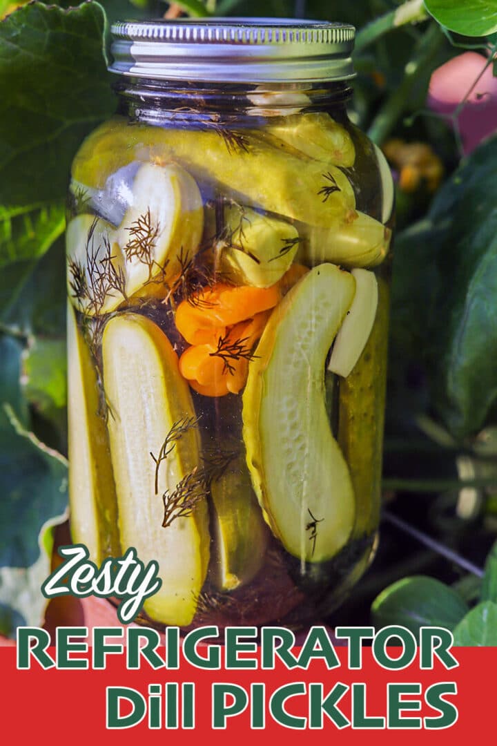 zesty pickles pin