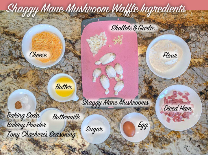 shaggy mane waffle ingredients