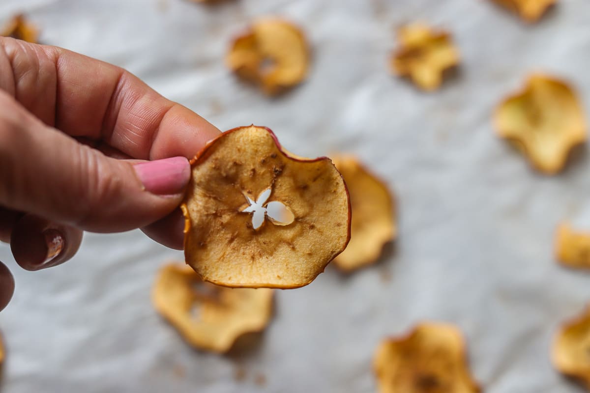 Dehydrated Apple Chips Recipe Hilda's Kitchen Blog