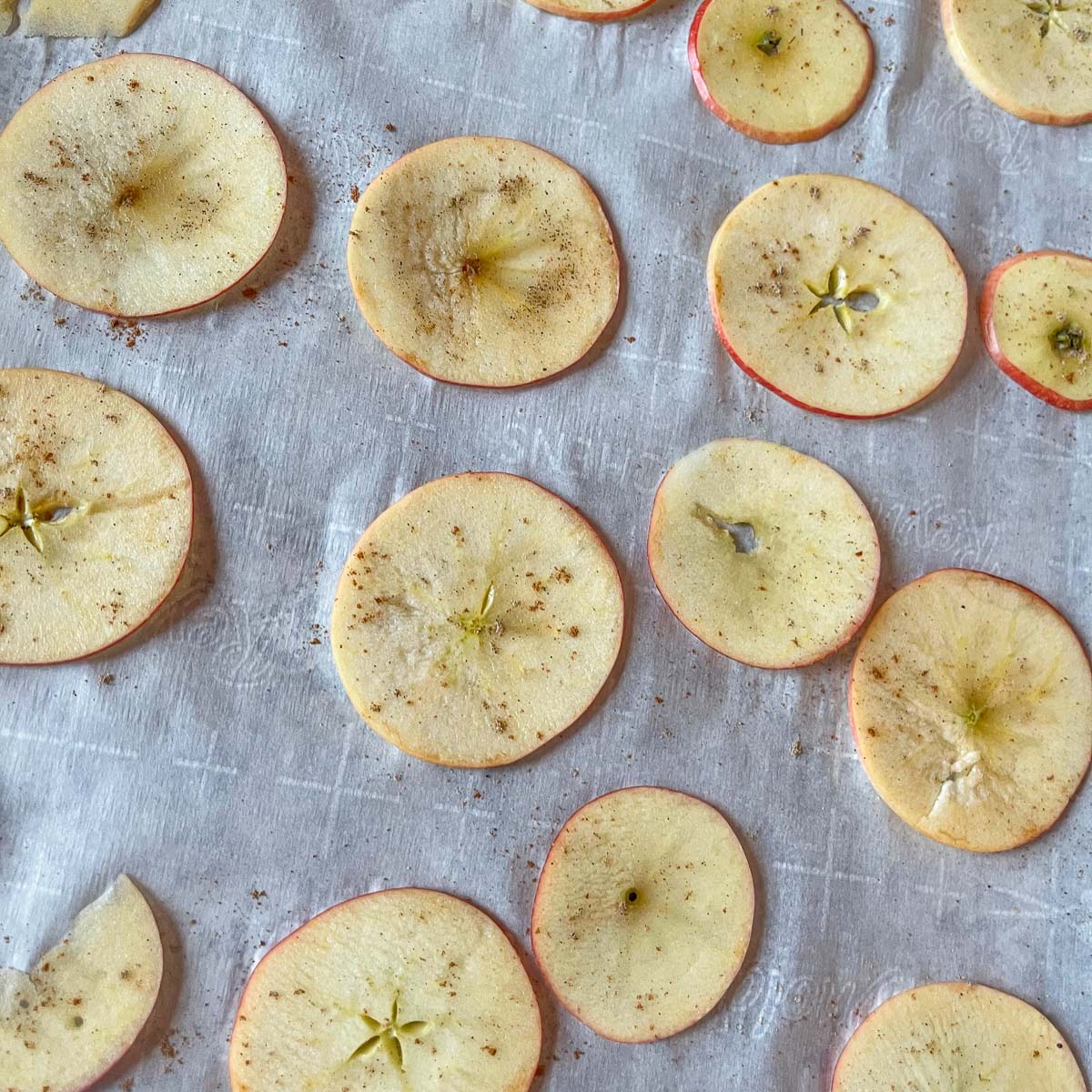Dehydrated Apple Chips Recipe Hilda's Kitchen Blog