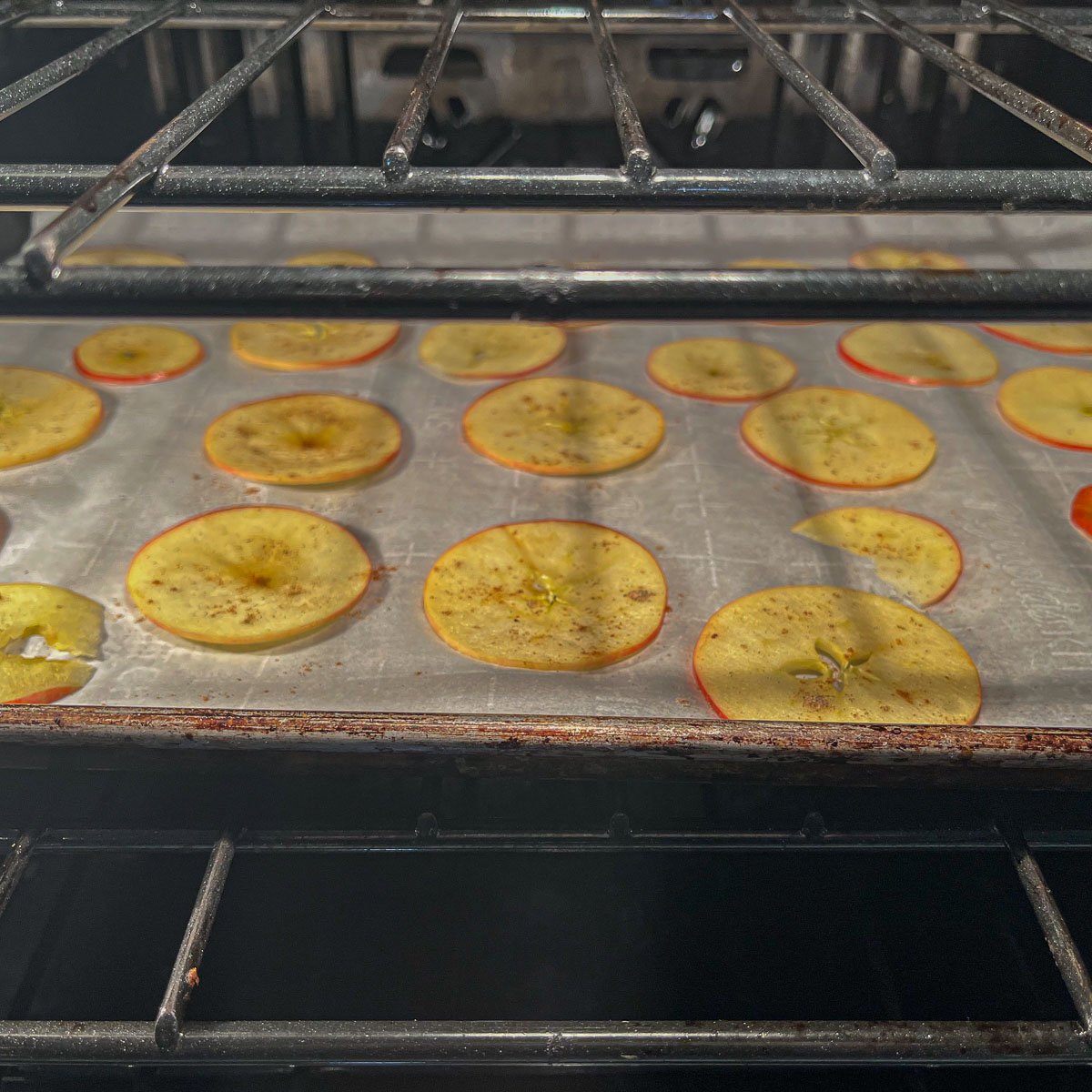 Dehydrated Apple Chips Recipe Hilda's Kitchen Blog