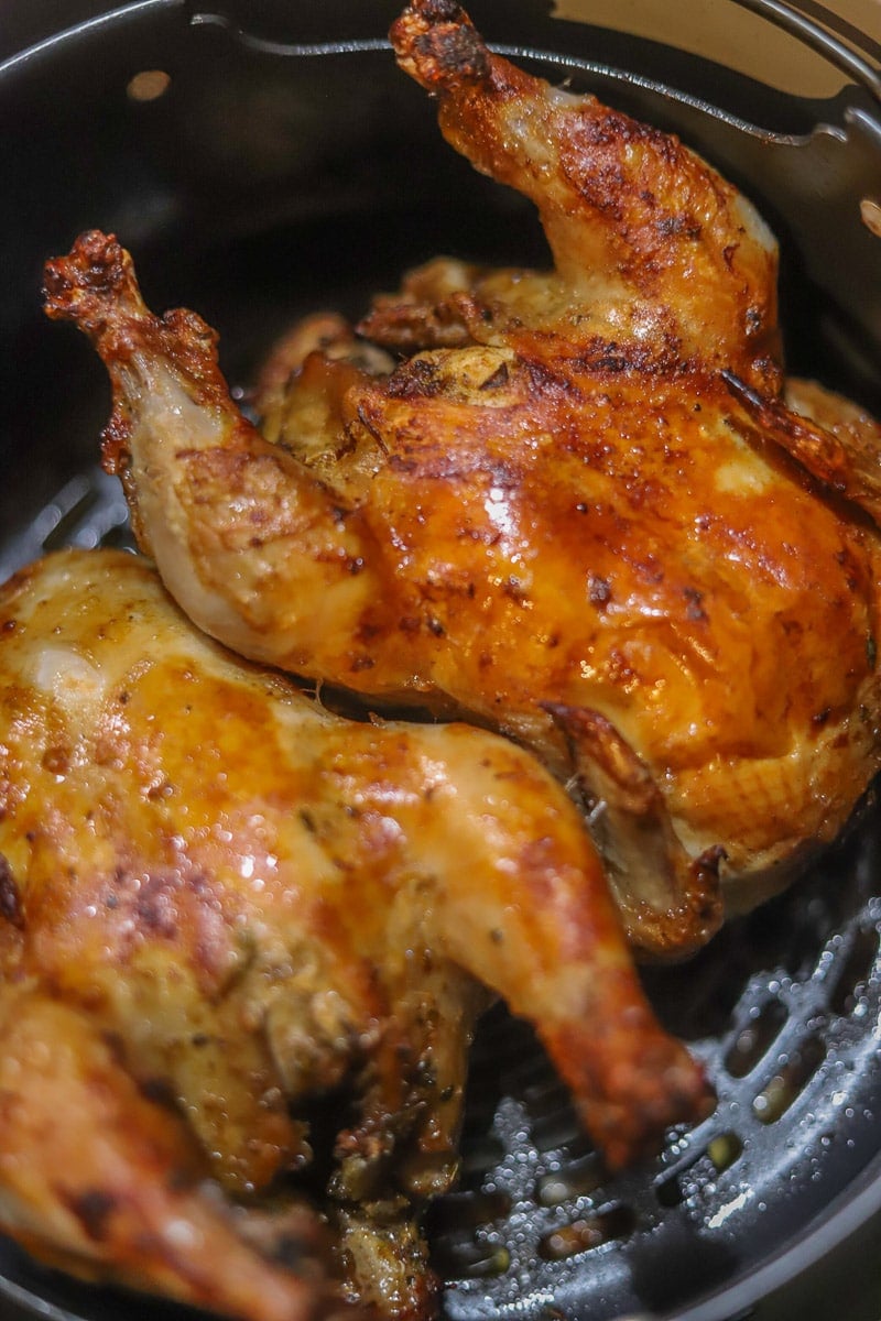 Greek-Style Air Fried Cornish Hens | Hilda's Kitchen Blog