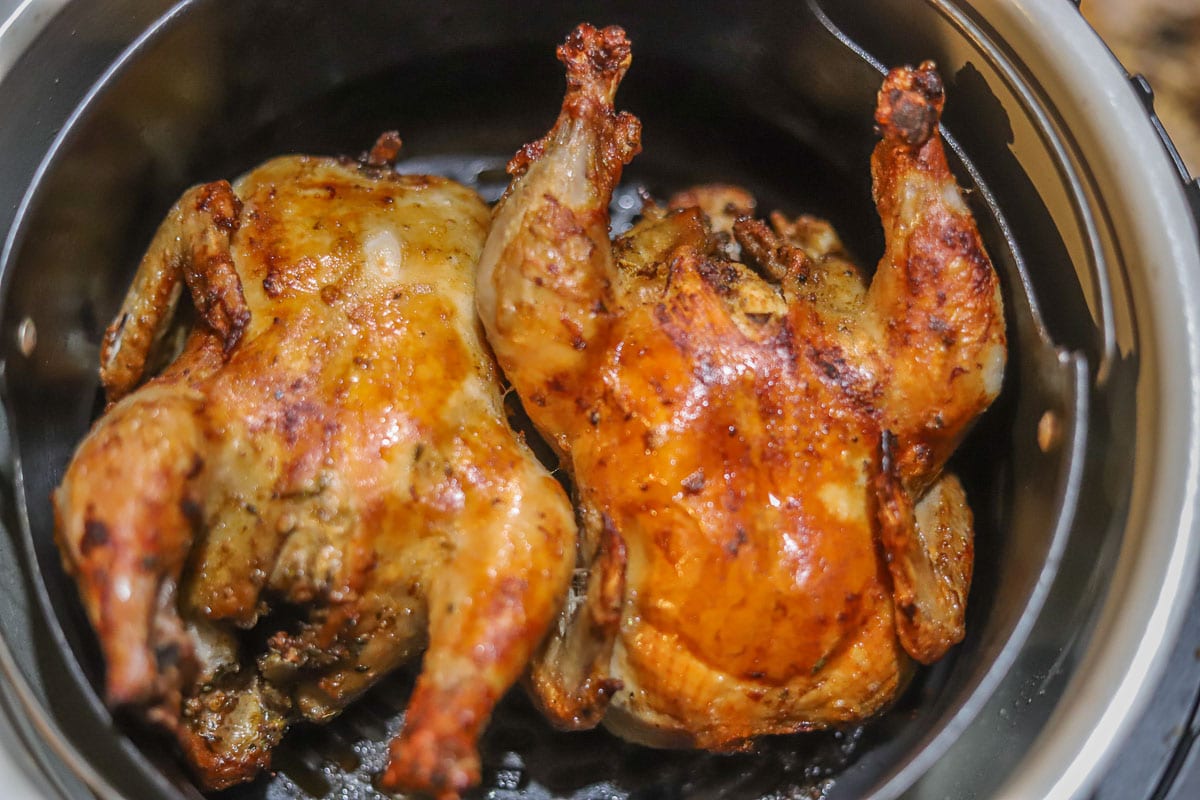 Greek-Style Air Fried Cornish Hens | Hilda's Kitchen Blog