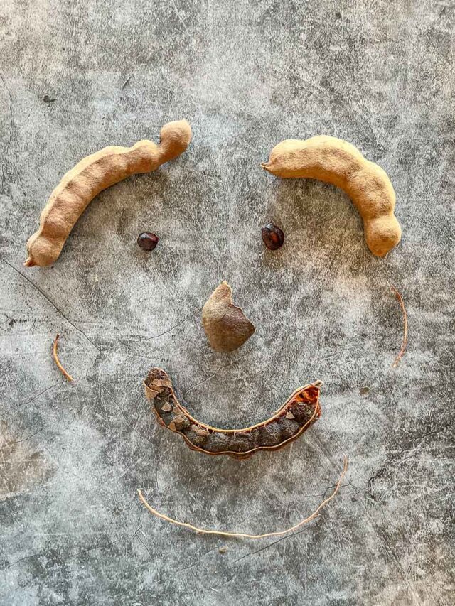 happy face made with tamarind pods