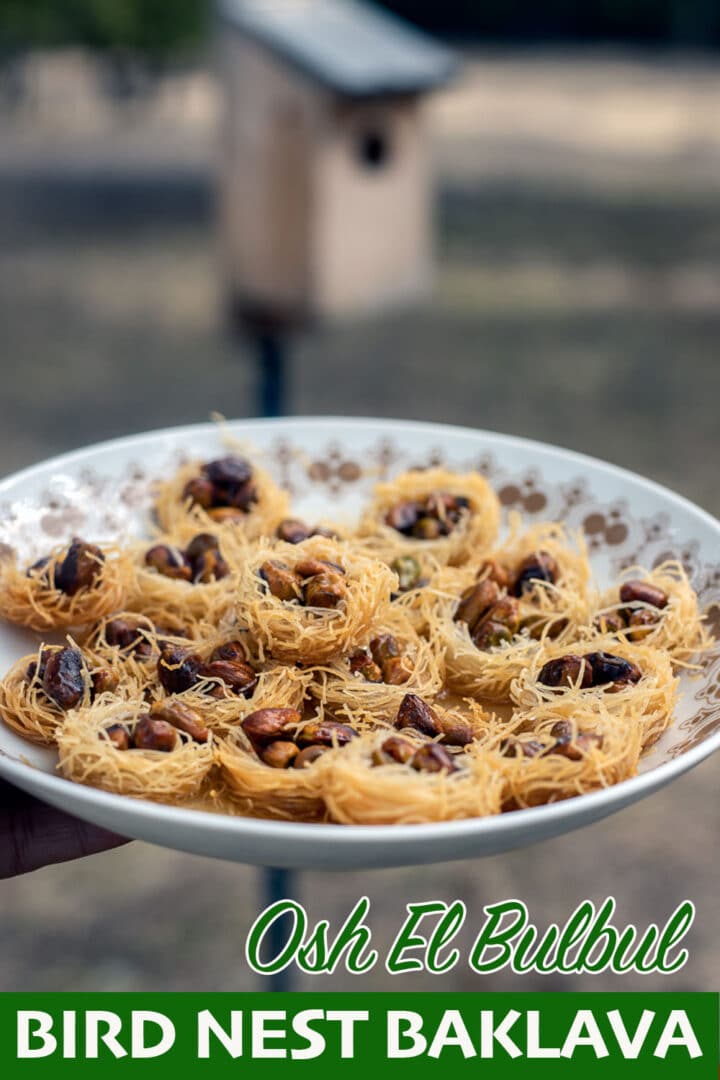 bird nest dessert on a plate infant of a birdhouse