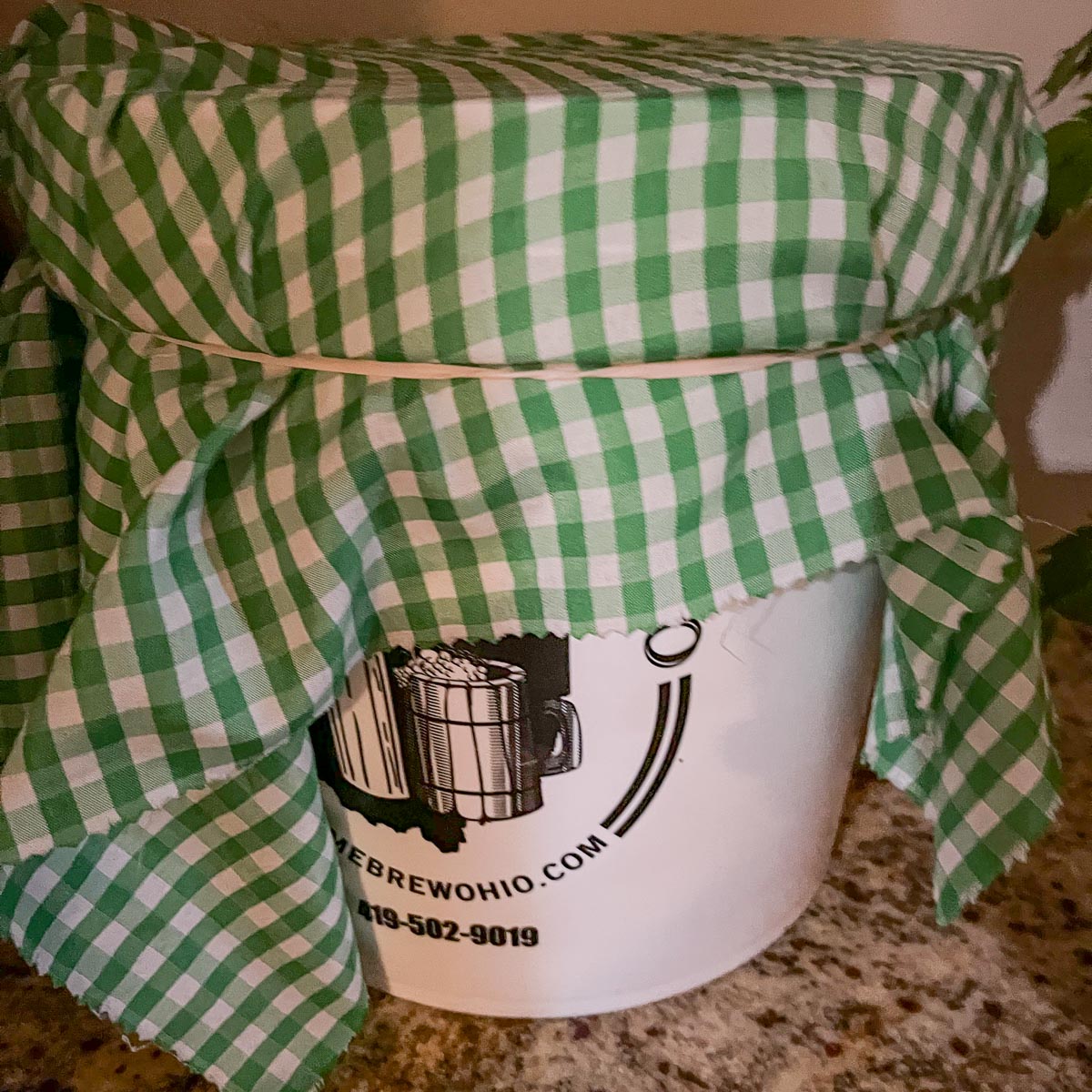 primary fermentor covered with a green and white checkered napkin