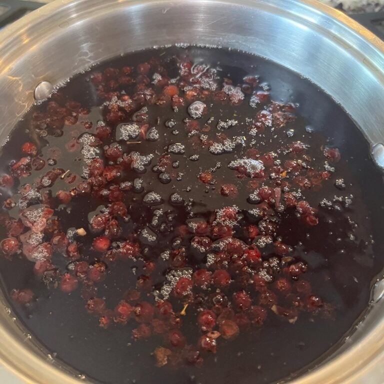 How to Make A Gallon of Chokecherry Wine Hilda's Kitchen Blog