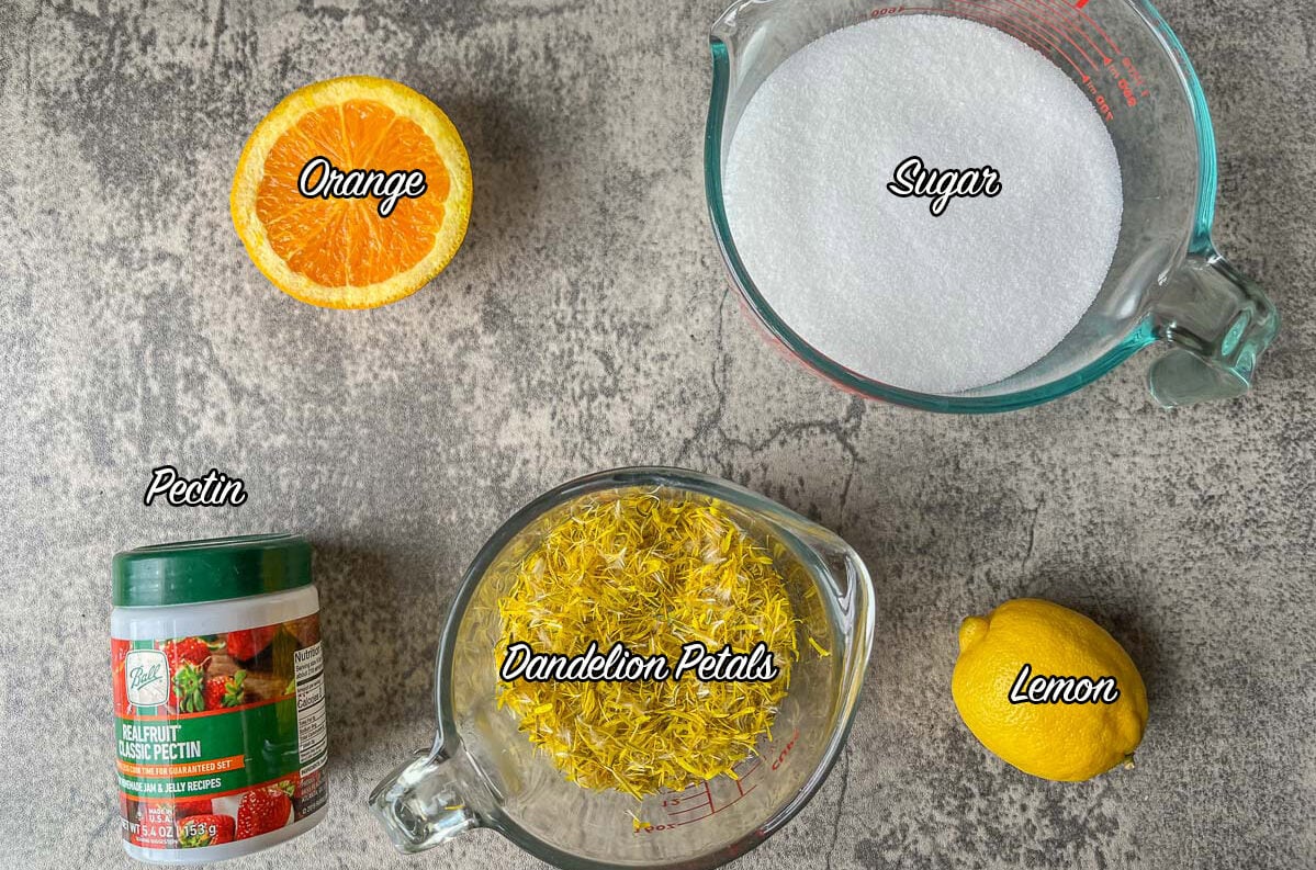ingredients of dandelion jelly recipe