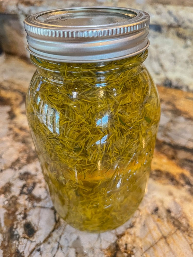 dandelion tea being steeped in a jar for dandelion jelly recipe