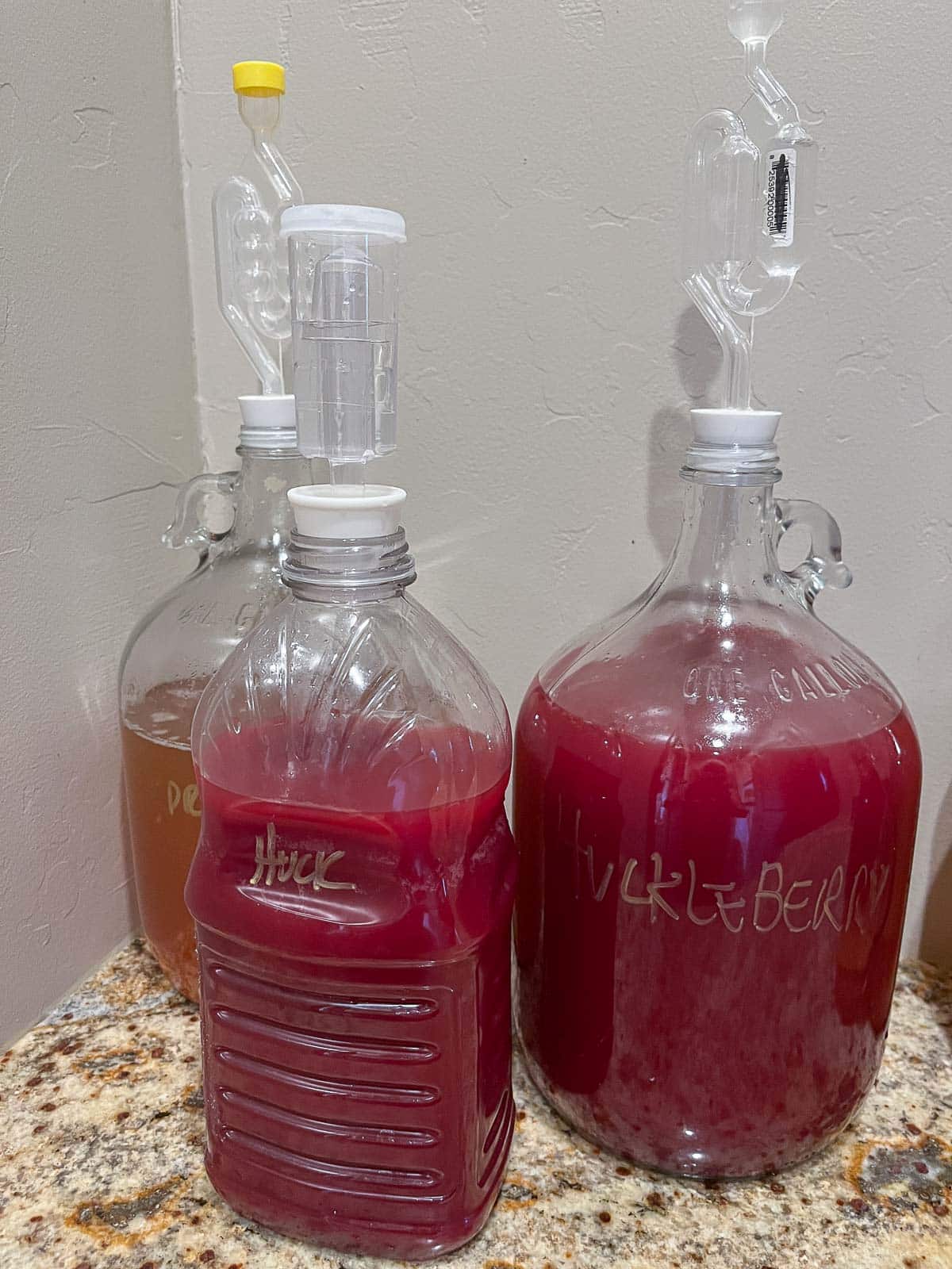 blueberry wine in carboys 