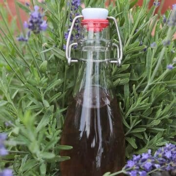 a bottle of lavender simple syrup out in the garden