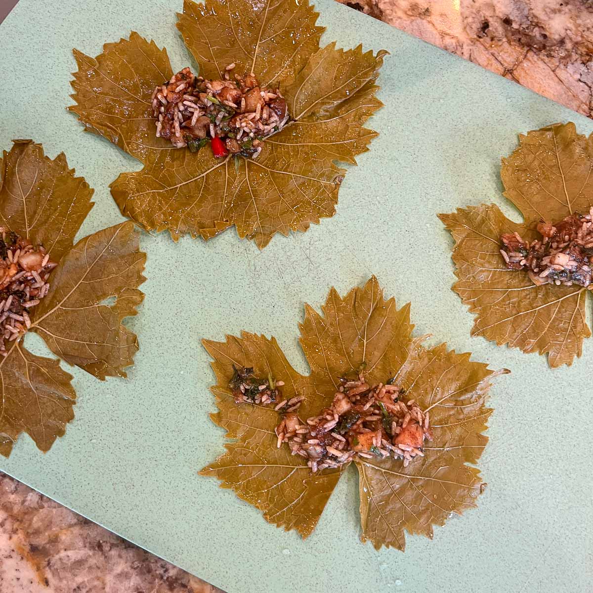 grape leaves with dolma filling in the middle 