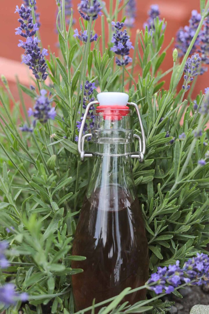 Lavender Simple Syrup Recipe | Hilda's Kitchen Blog