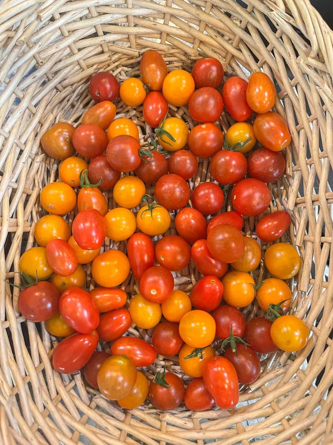 Dehydrated SunDried Tomatoes in Oil Hilda's Kitchen Blog