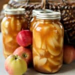 2 jars of apple pie filling recipe with apples around them