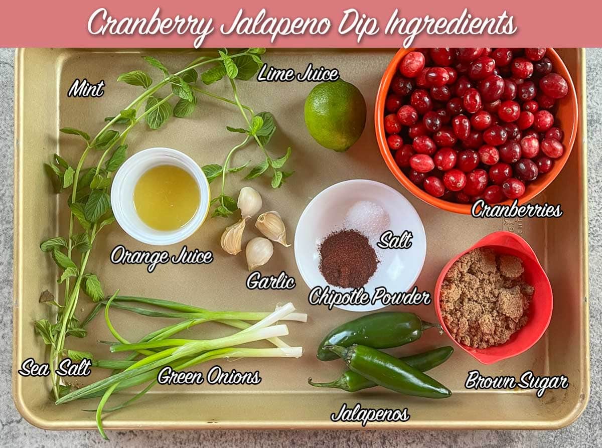 Cranberry jalapeno dip ingredients