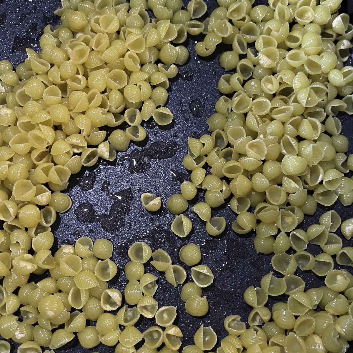 sea shell pasta being fried