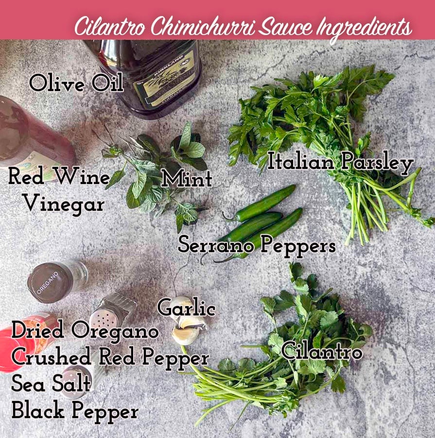 cilantro chimichurri sauce ingredients