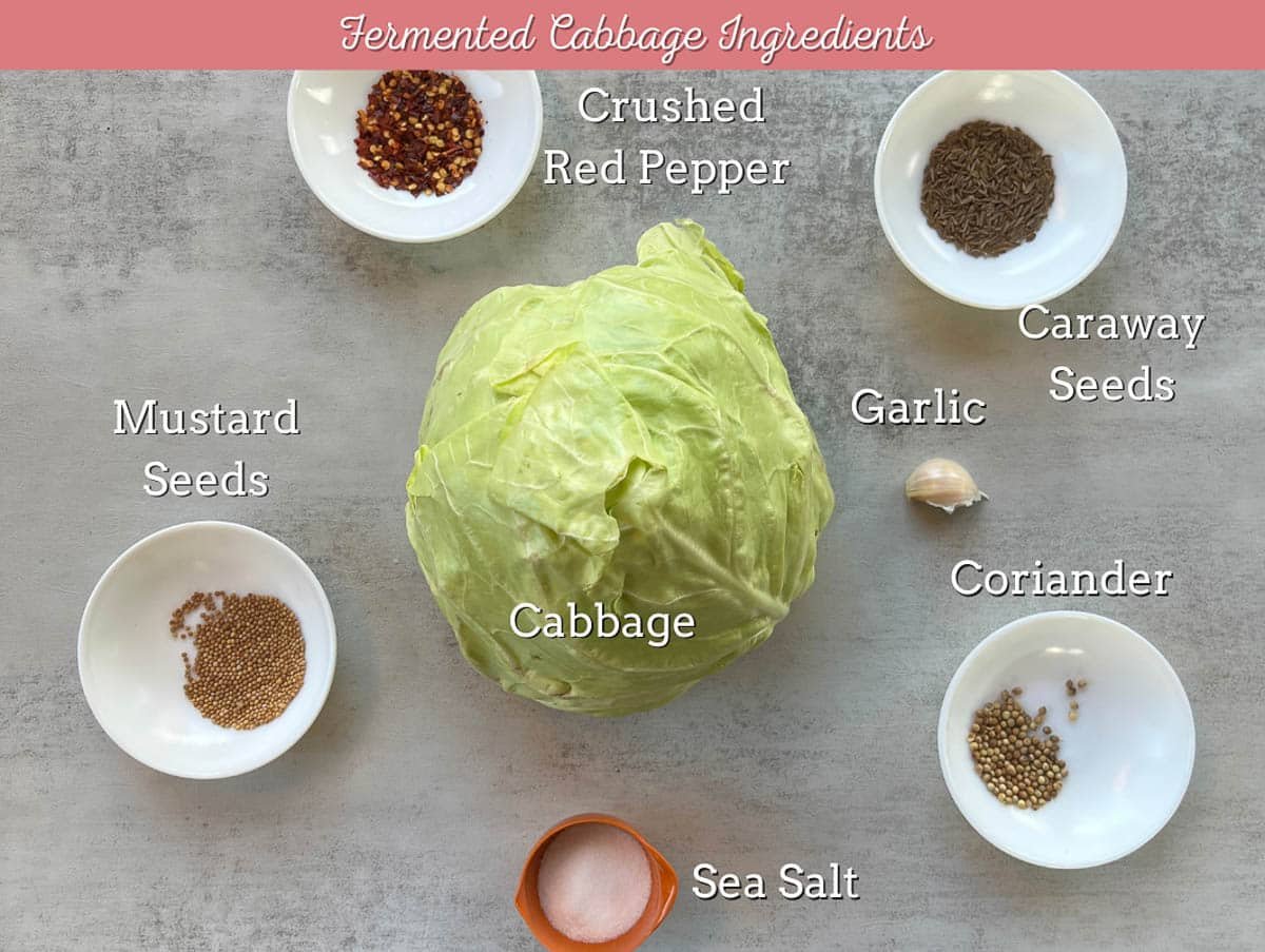 fermented cabbage ingredients
