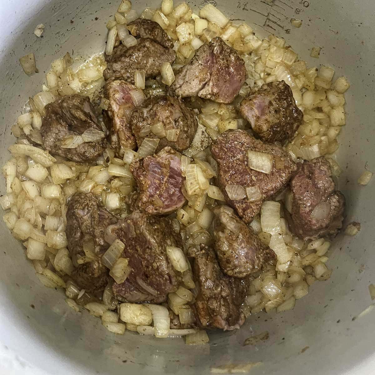 Instant Pot Lamb Stew | Hilda's Kitchen Blog