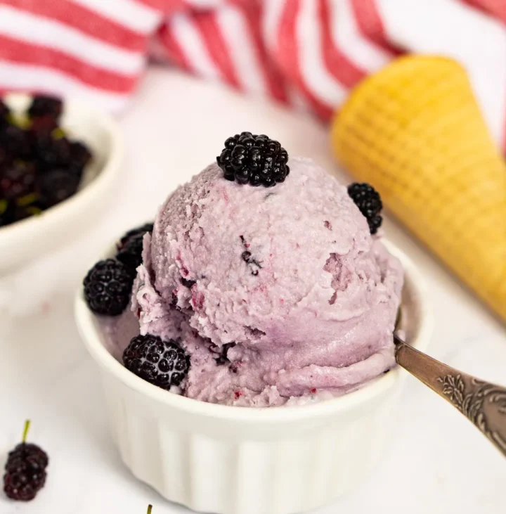 mulberry ice cream