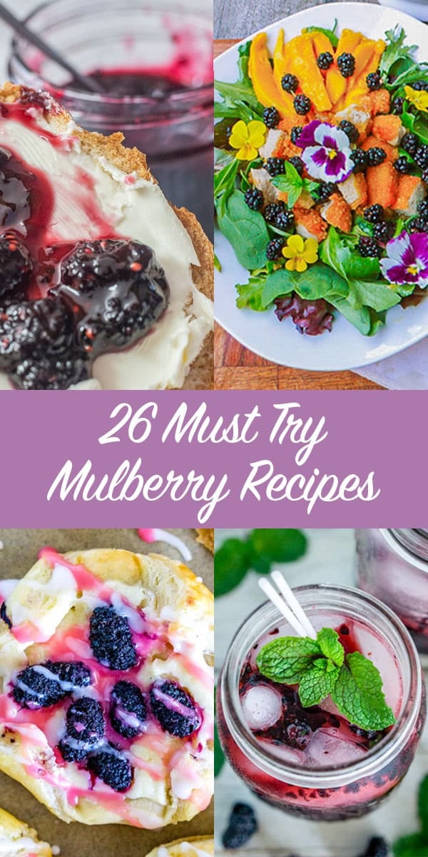 26 mulberry recipes pin